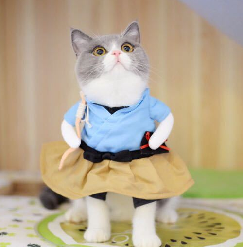 Funny Cat Costume Uniform Suit