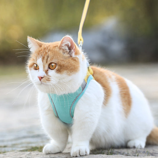 Cat Traction Rope Home Vest