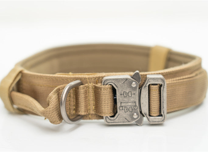 Nylon Dog Collars