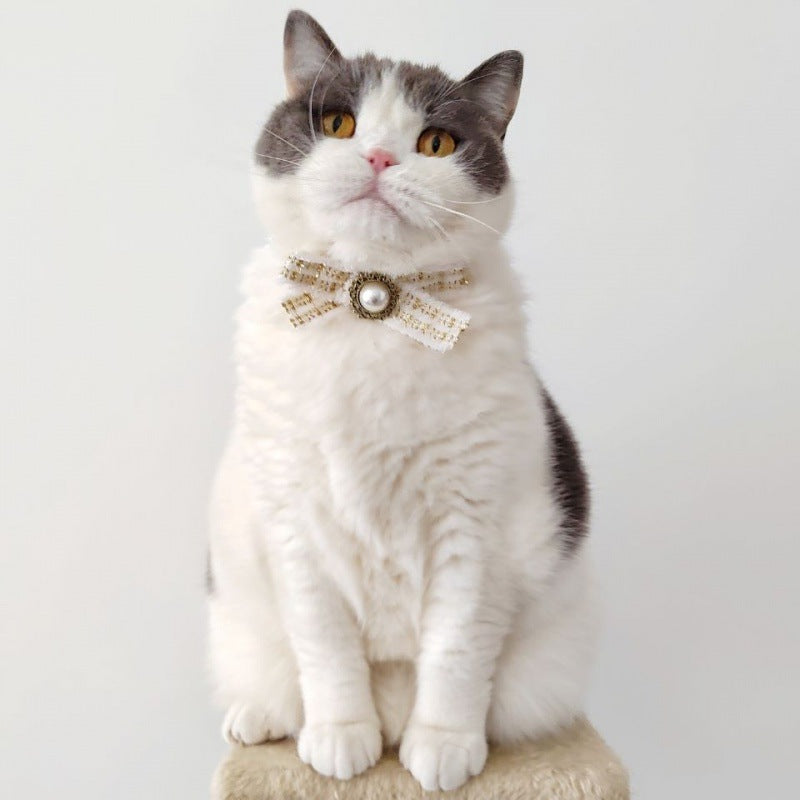 Fancy Bow Tie Collar