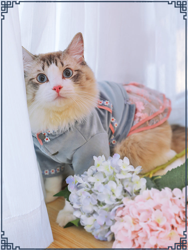 Pet cat clothes