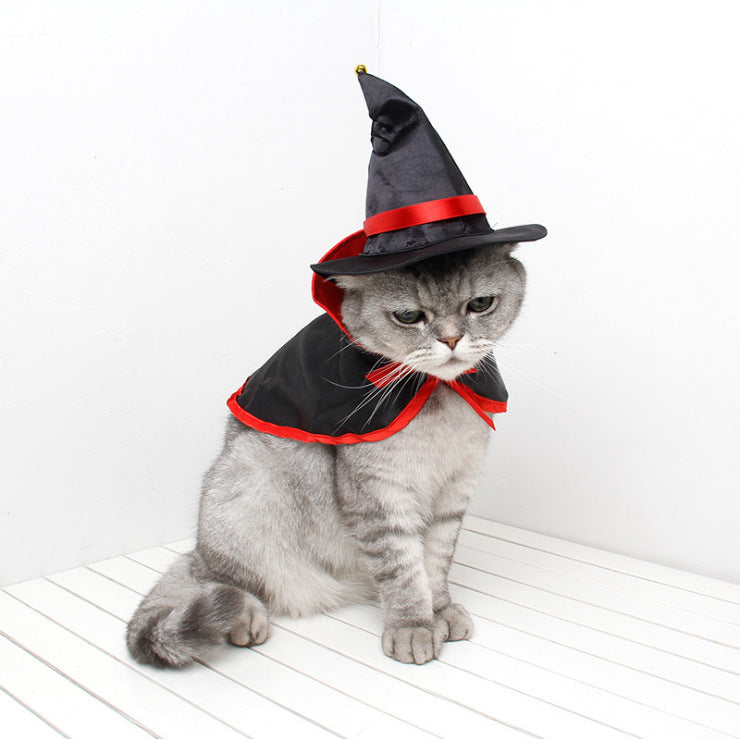 Witch Halloween Pet Cloak