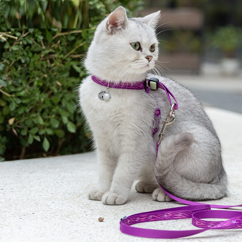 Thin Cat Harness and Leash