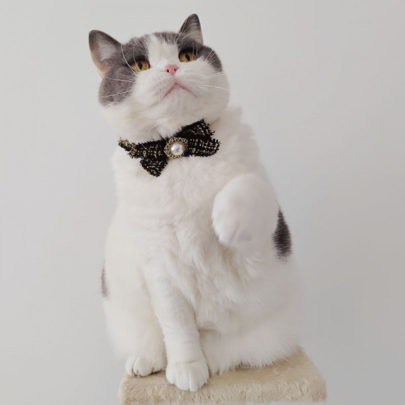 Fancy Bow Tie Collar