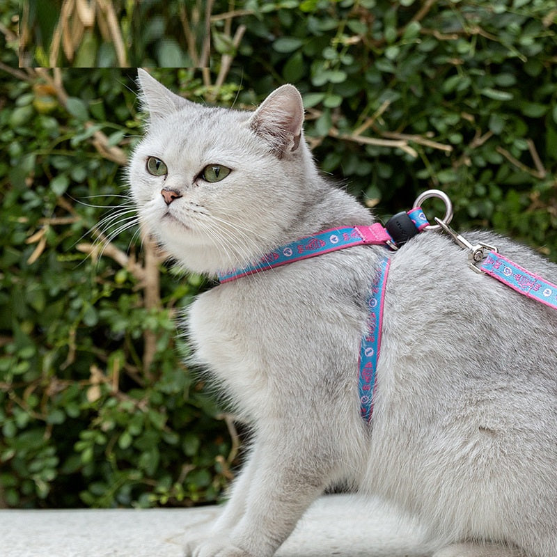 Thin Cat Harness and Leash