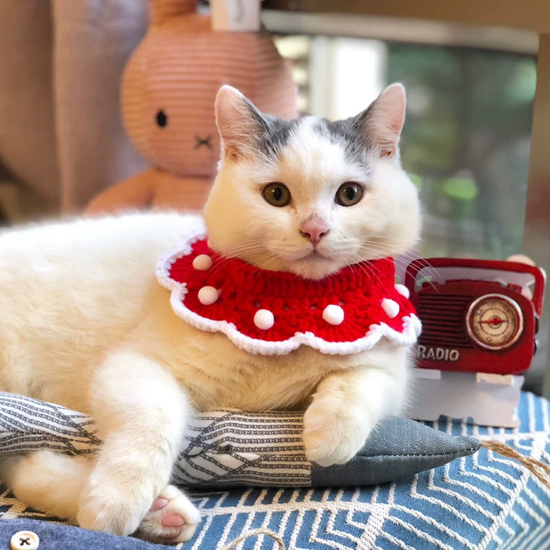 Cat Christmas Collar