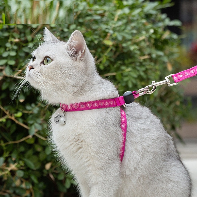 Thin Cat Harness and Leash