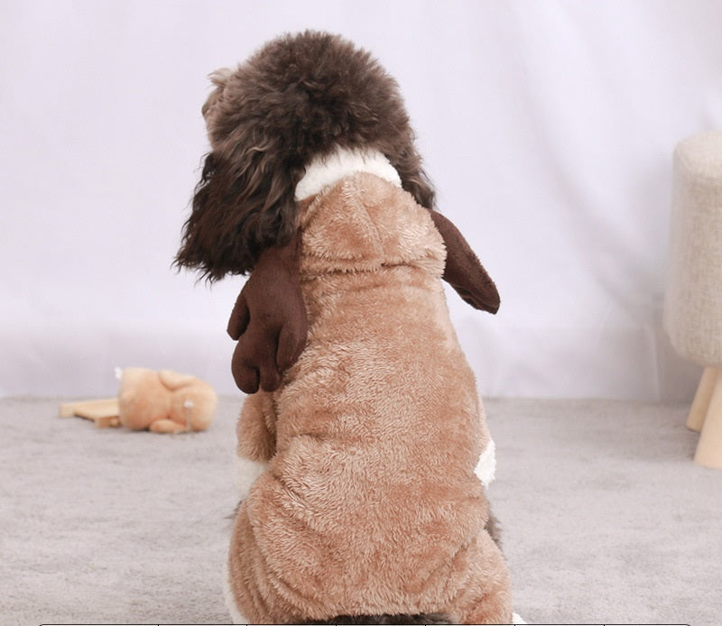 Dog Pet Costumes